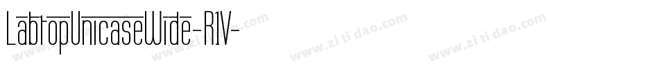LabtopUnicaseWide-R1V字体转换
