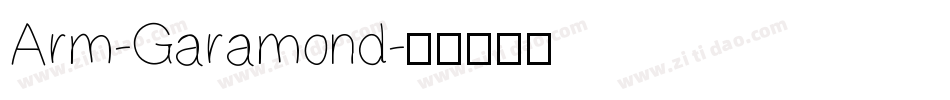 Arm-Garamond字体转换