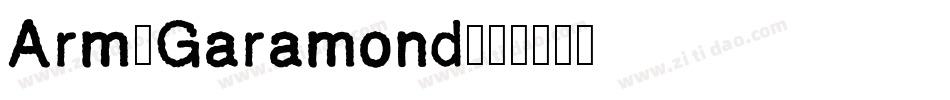 Arm-Garamond字体转换