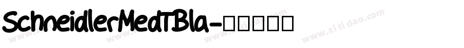 SchneidlerMedTBla字体转换