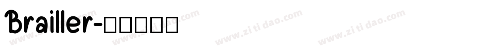 Brailler字体转换