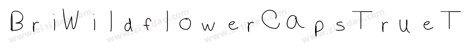 BriWildflowerCapsTrueType-w5A6字体转换
