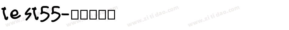 test55字体转换