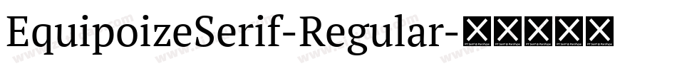 EquipoizeSerif-Regular字体转换
