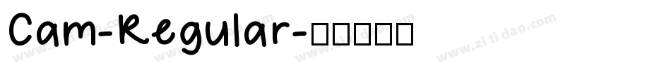 Cam-Regular字体转换