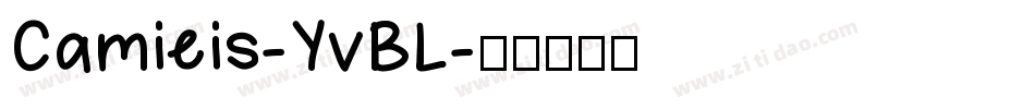 Camieis-YvBL字体转换