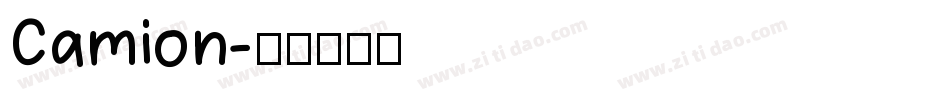 Camion字体转换