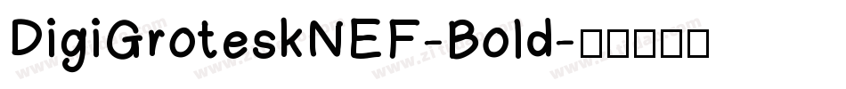 DigiGroteskNEF-Bold字体转换