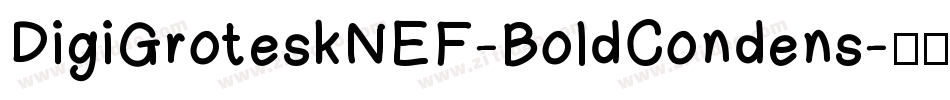 DigiGroteskNEF-BoldCondens字体转换