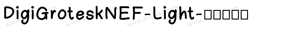 DigiGroteskNEF-Light字体转换