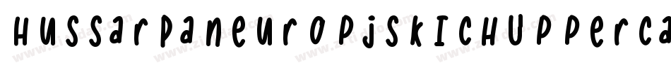 HussarPaneuropjskichUppercaseOblique-PLrm字体转换
