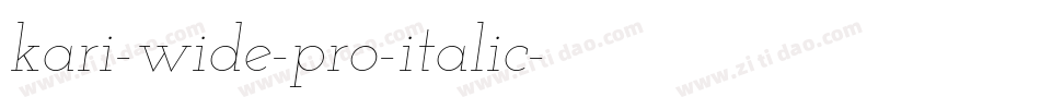 kari-wide-pro-italic字体转换