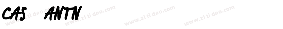 CAS_ANTN字体转换