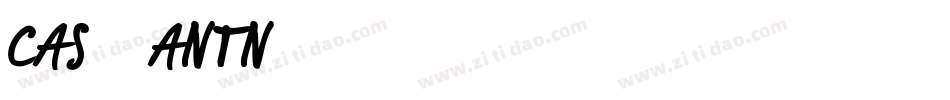CAS_ANTN字体转换