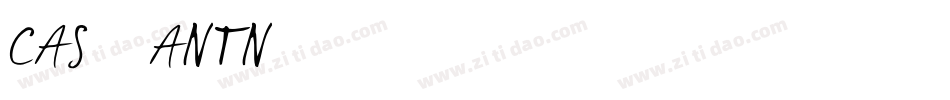 CAS_ANTN字体转换
