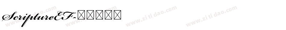 ScriptureEF字体转换