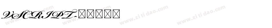 VSCRIPT字体转换