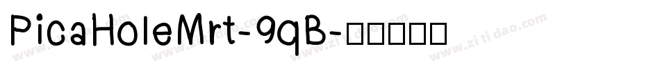 PicaHoleMrt-9qB字体转换