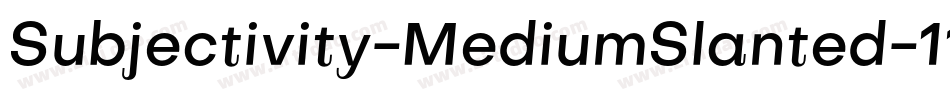 Subjectivity-MediumSlanted-11字体转换
