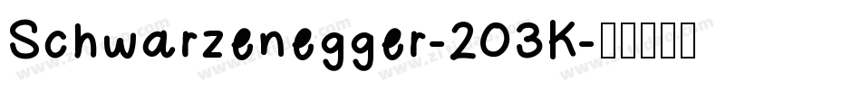 Schwarzenegger-203K字体转换