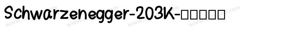 Schwarzenegger-203K字体转换