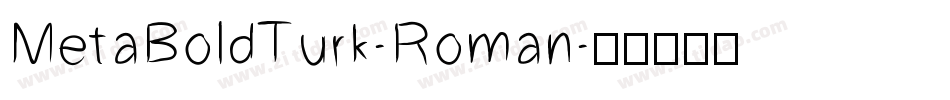 MetaBoldTurk-Roman字体转换