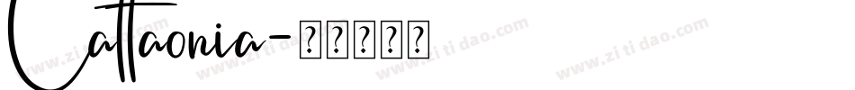 Cattaonia字体转换
