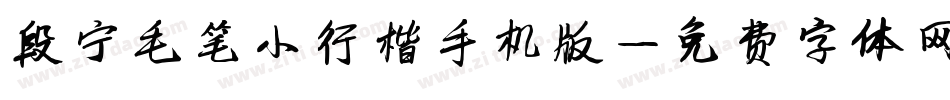 段宁毛笔小行楷手机版字体转换