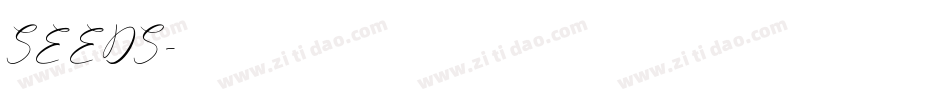 SEEDS字体转换
