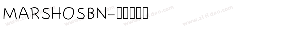 MARSHOSBN字体转换