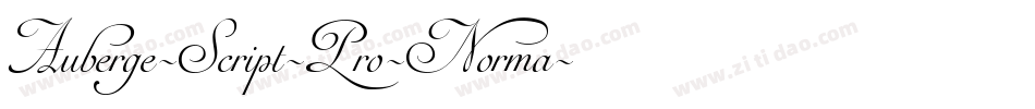 Auberge-Script-Pro-Norma字体转换