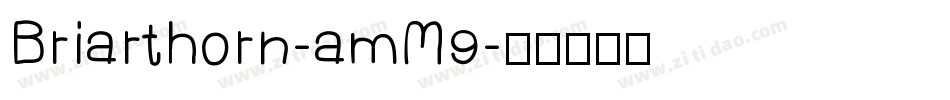 Briarthorn-amM9字体转换