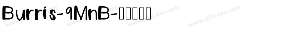Burris-9MnB字体转换