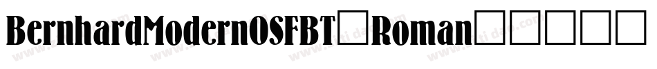 BernhardModernOSFBT-Roman字体转换