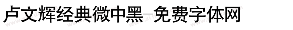 卢文辉经典微中黑字体转换