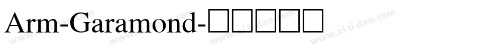 Arm-Garamond字体转换