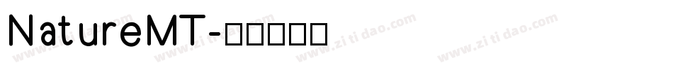 NatureMT字体转换