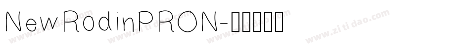 NewRodinPRON字体转换