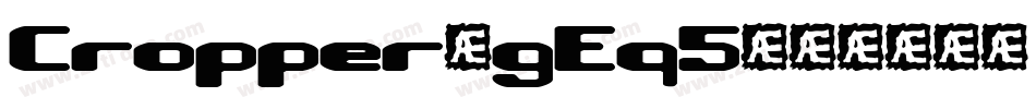 Cropper-gEq5字体转换