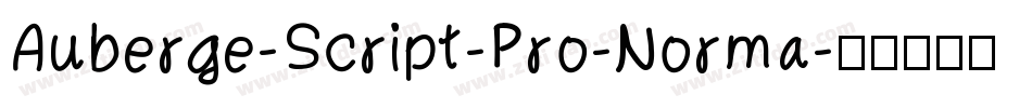 Auberge-Script-Pro-Norma字体转换