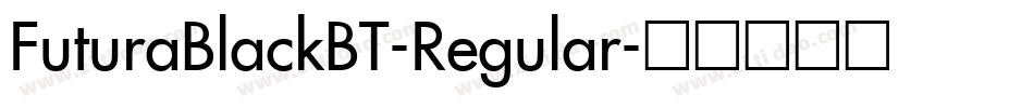FuturaBlackBT-Regular字体转换