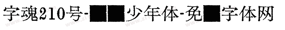 字魂210号-国风少年体字体转换
