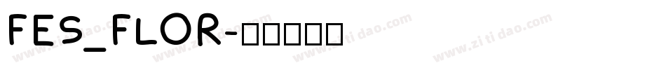 FES_FLOR字体转换