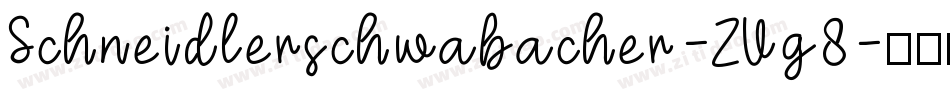 Schneidlerschwabacher-ZVg8字体转换