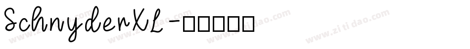 SchnyderXL字体转换