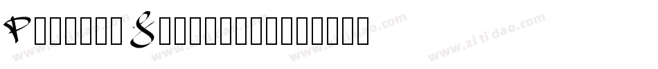 PerfeckSignature字体转换
