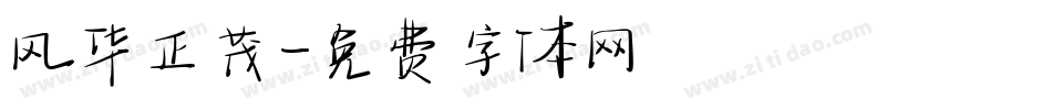 风华正茂字体转换