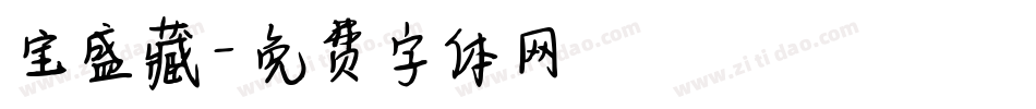 宝盛藏字体转换