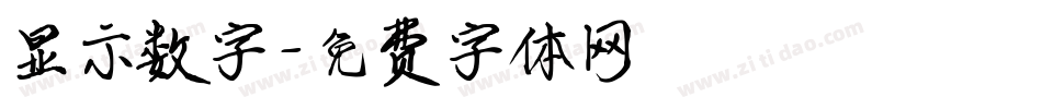 显示数字字体转换