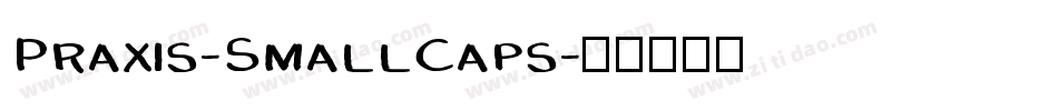 Praxis-SmallCaps字体转换